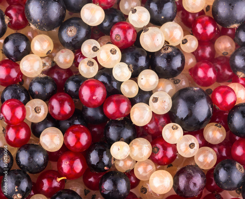 currant background