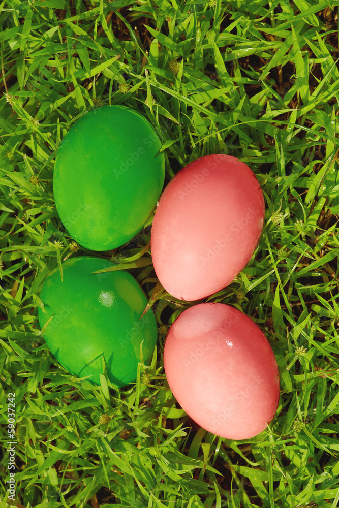 Colored eggs on gress