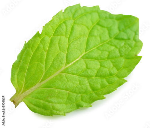 mint leaves isolated on white background