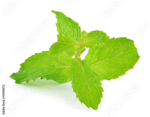 mint leaves isolated on white background