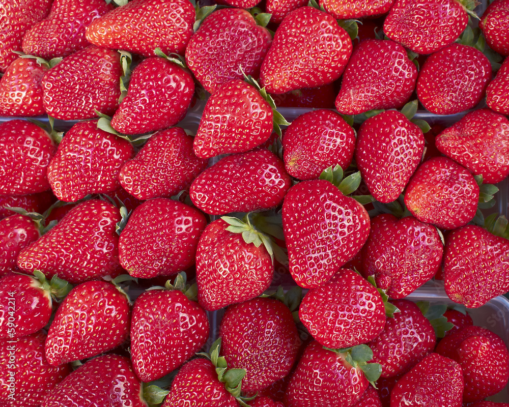 fresh strawberries for sale fresh strawberries for sale