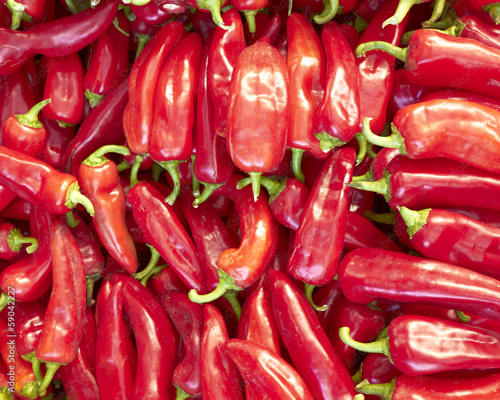 red hot chilli peppers for sale red hot chilli peppers for sale