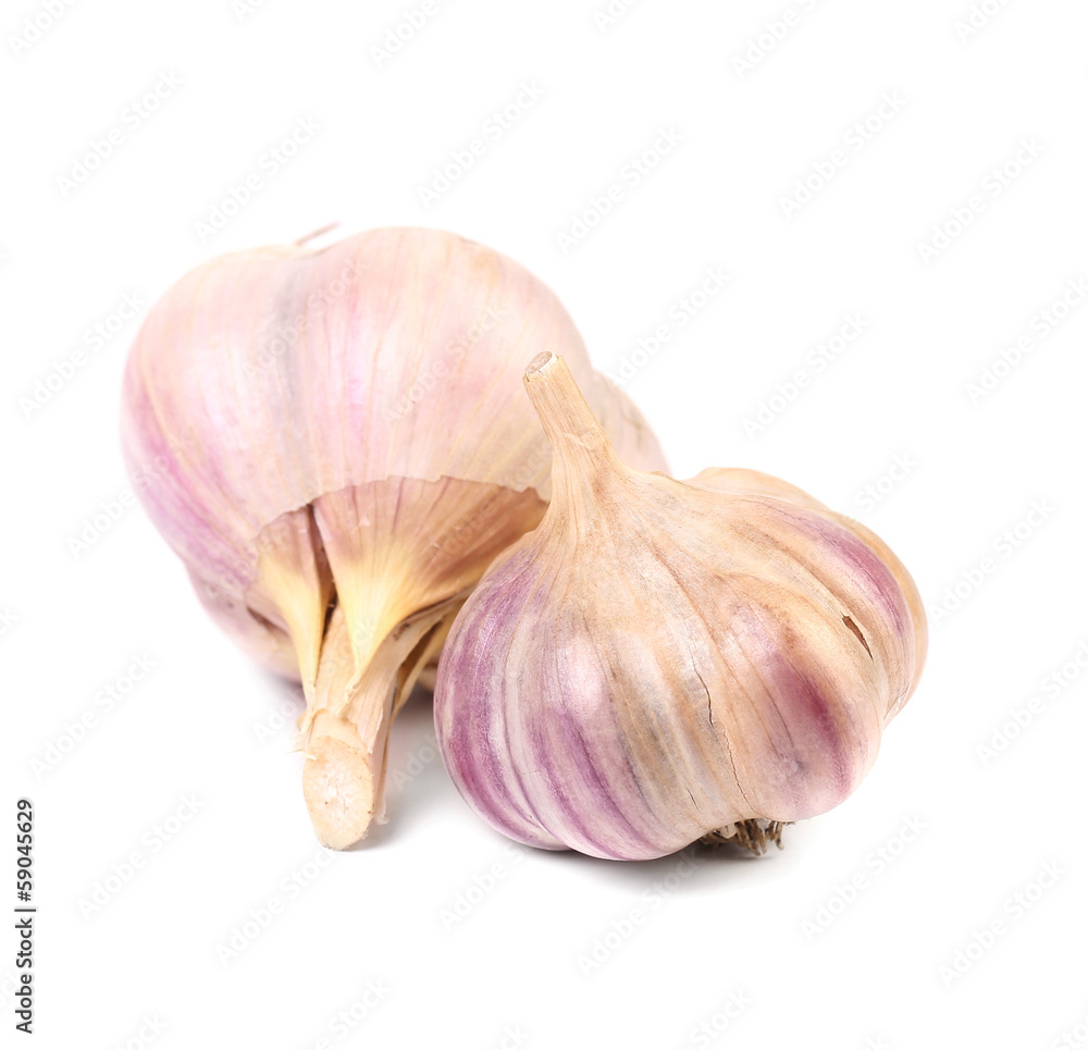 Obraz premium Close up of two fresh garlics.