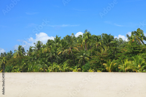 tropical beach © Dim154