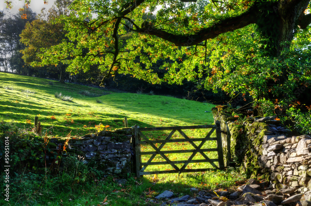 Country scene with farm gate