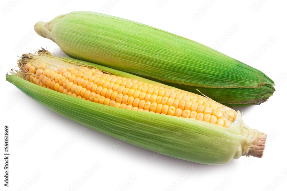 Corn Corn