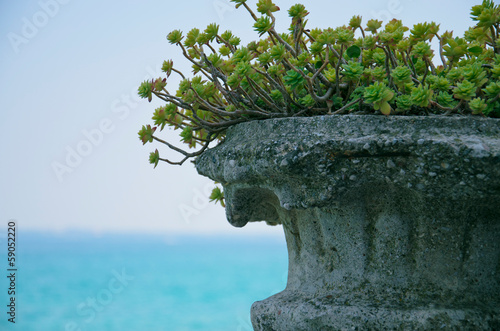 Adriatic view