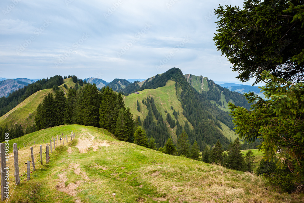 Paesaggio alpino e alberi, Svizzera
