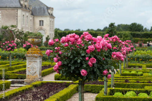 Fototapeta Naklejka Na Ścianę i Meble -  Kitchen garden in  Chateau de Villandry. Loire Valley, France