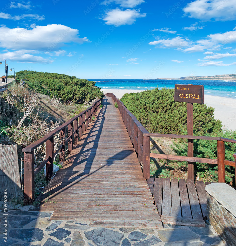 boardwalk to the beach boardwalk to the beach