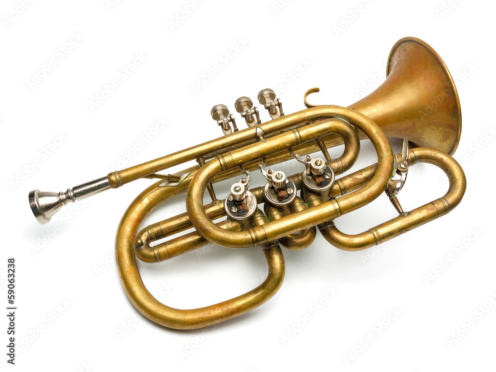 Obraz premium Kornett