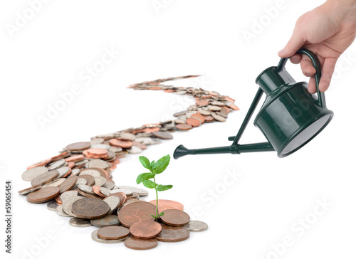 Making your money grow photo