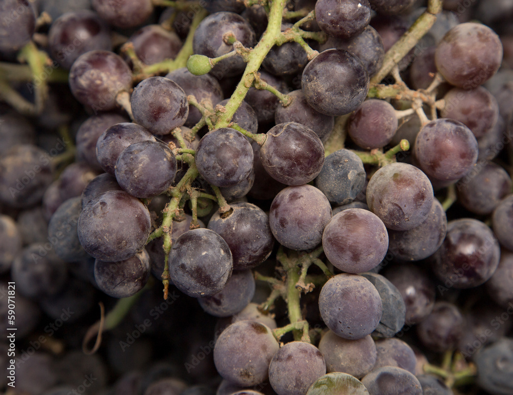 Fototapeta premium black grapes as background