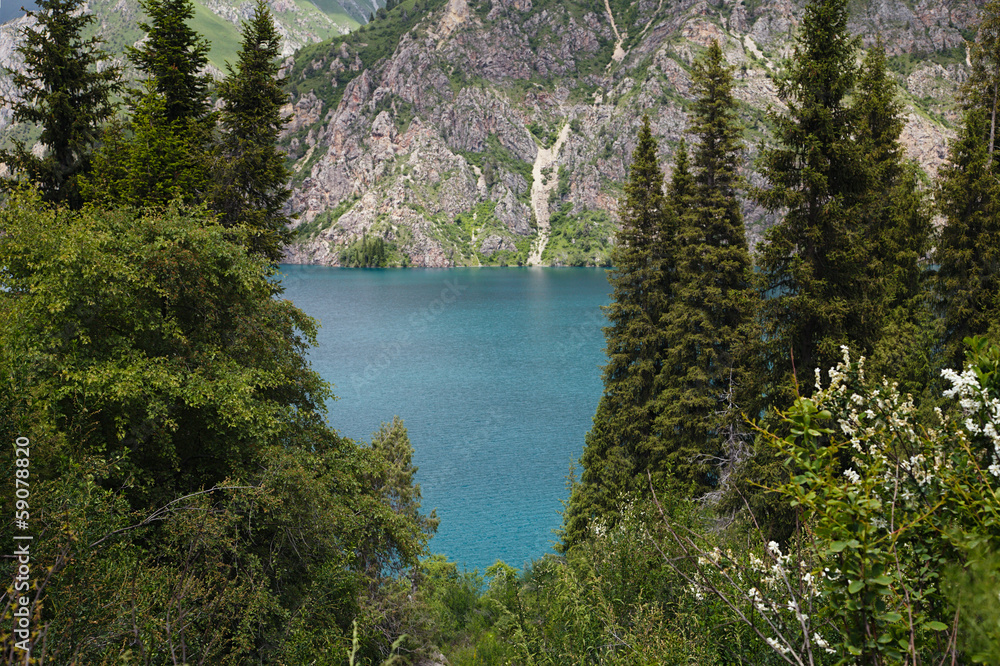 Sary Chelek lake, Jalal Abad region, Kyrgyzstan, Central Asia