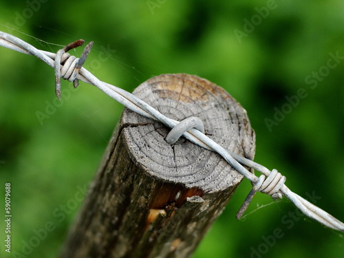 Barbed Wire
