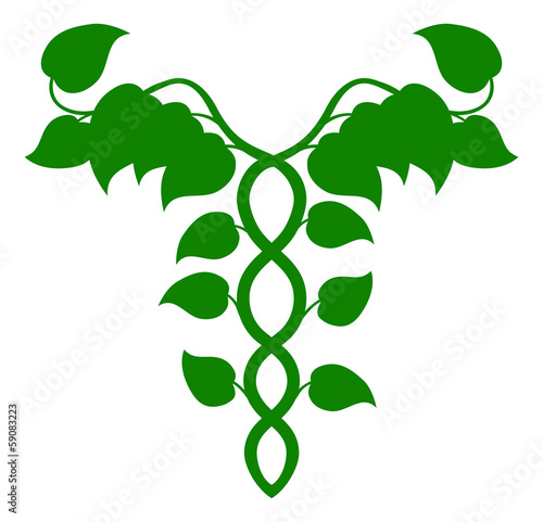 Holistic Medicine Caduceus or DNA concept