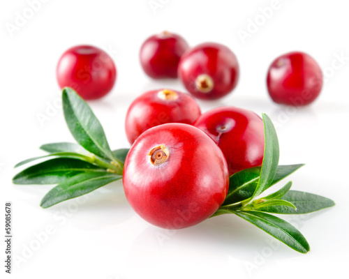 Cranberry with leaves isolated on white background