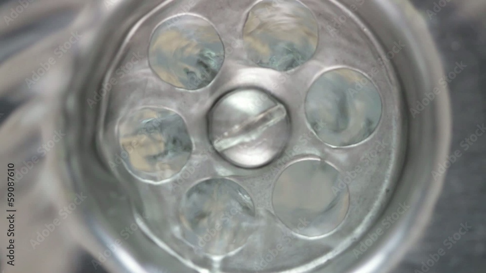 plughole plughole