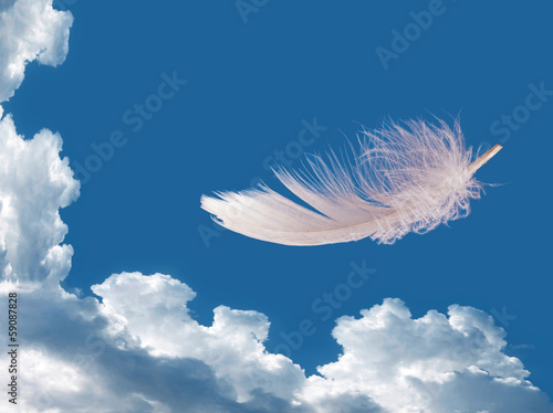 Floating feather over sky - lightness, freedom concept © Mushy