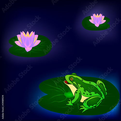 frog and water lily