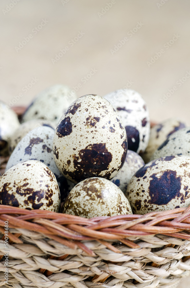 Obraz premium The basket filled with eggs of quails