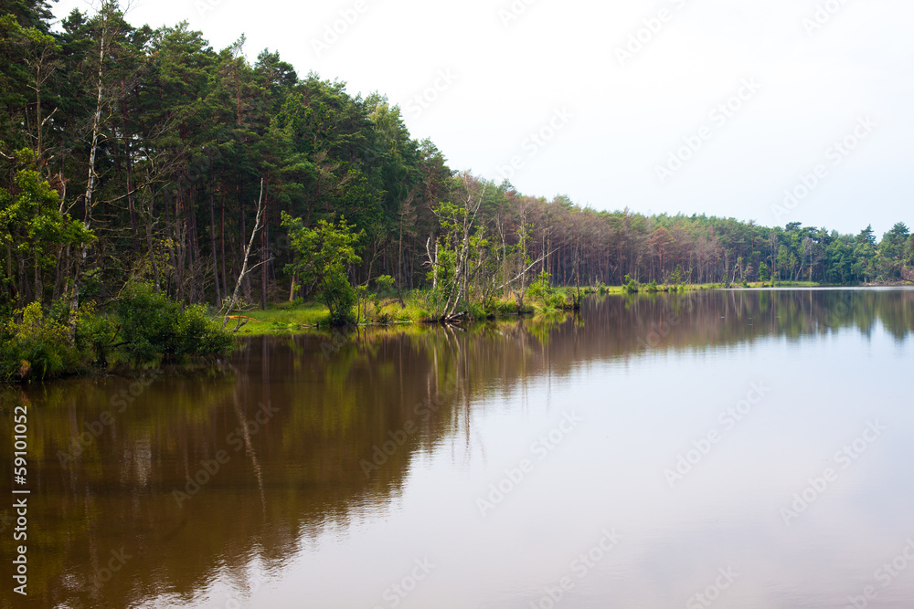 calm lake water with trees in Poland