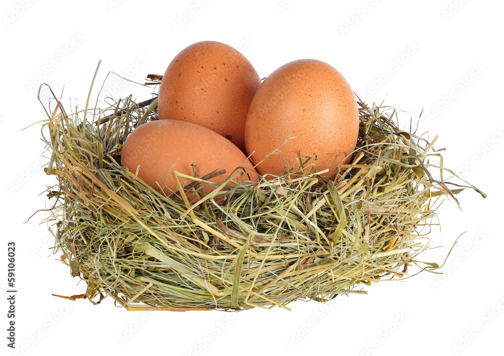 three eggs in grass nest on white three eggs in grass nest on white