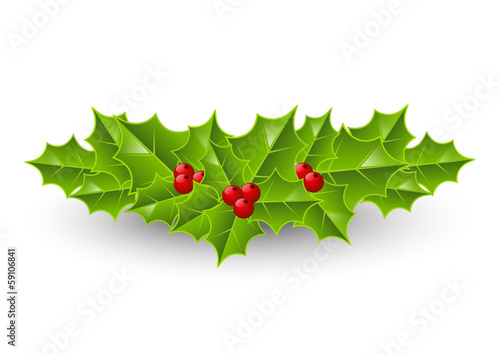 Holly berry icon on white