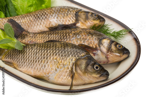 Raw Crucian