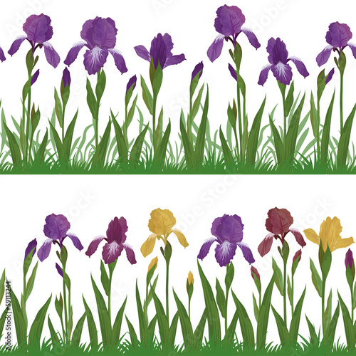 Flowers iris and grass, set seamless