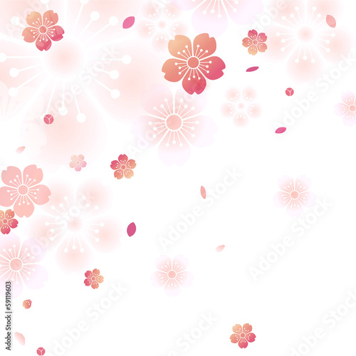 桜 和柄 春
