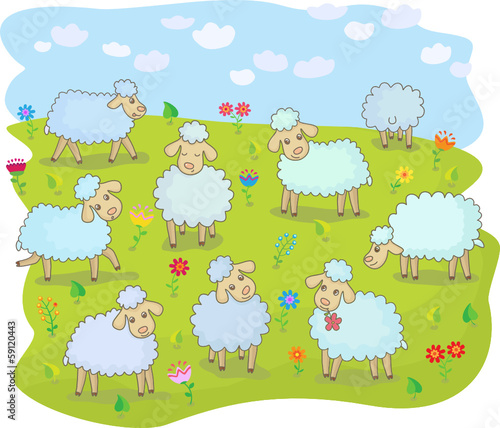 A flock of sheep in the pasture