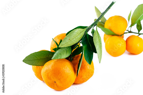 Fényképezés Japanese orange; Satsuma with branch on the white background