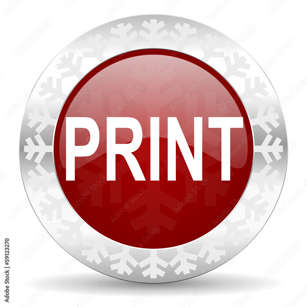print icon