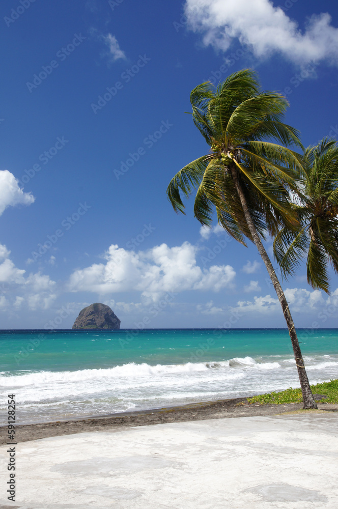 Rocher du Diamant face à la plage du Diamant foto de Stock | Adobe Stock