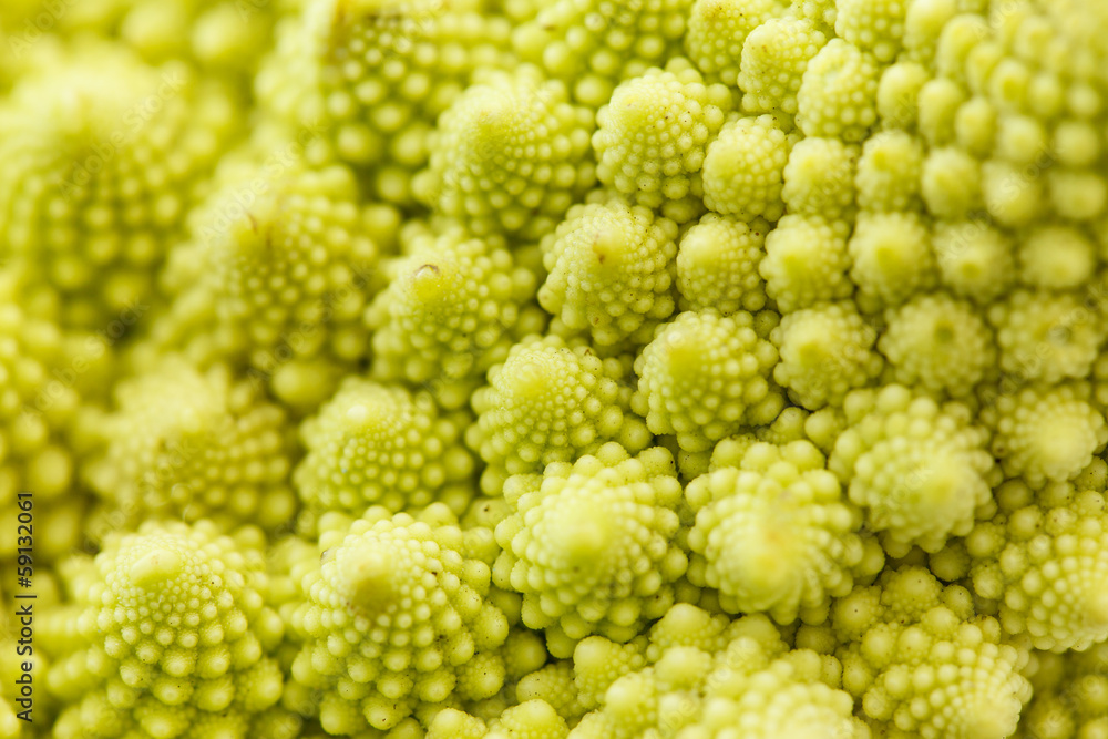 romanesko broccoli romanesko broccoli