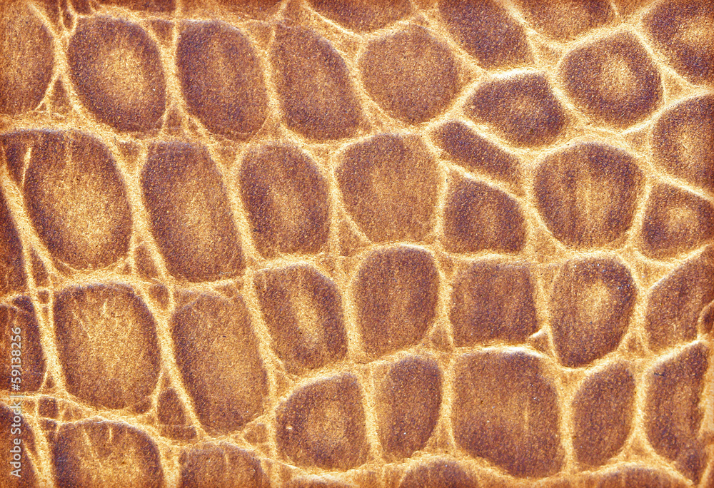 Background or texture leather texture Background or texture leather texture