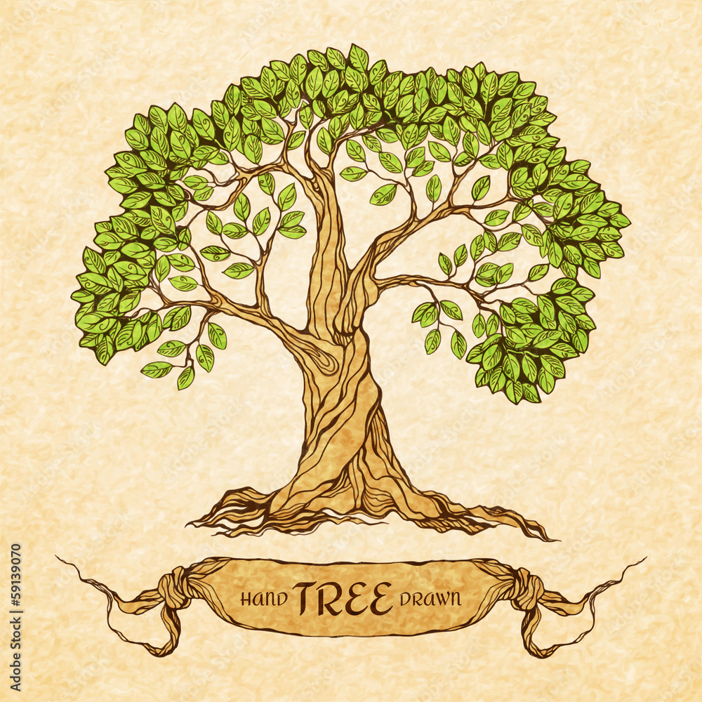 Green tree with place for text - obrazy, fototapety, plakaty 