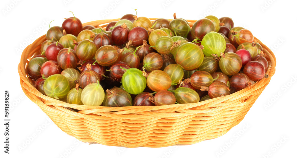 Fresh gooseberries in wicker basket isolated on white