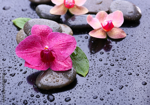 Composition with beautiful blooming orchid with water drops and