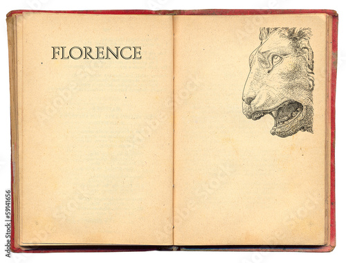 Florence lion illustration
