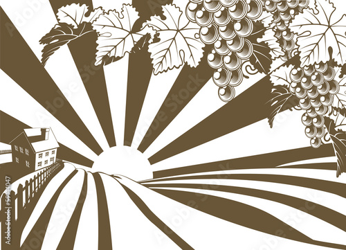 Sunrise Grape Vine Vineyard Graphic
