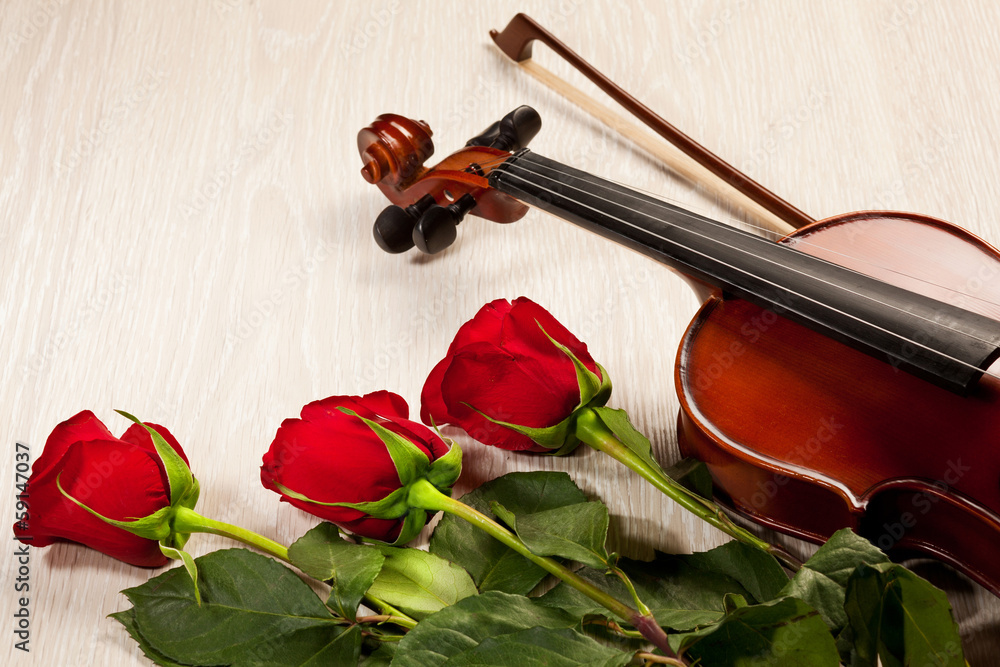 Fototapeta premium Red roses and a violin