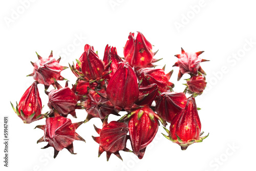 Фотография Roselle on a white background