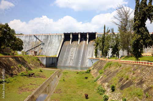 Wallpaper Mural Neyyar dam - a gravity dam on the Neyyar River Torontodigital.ca