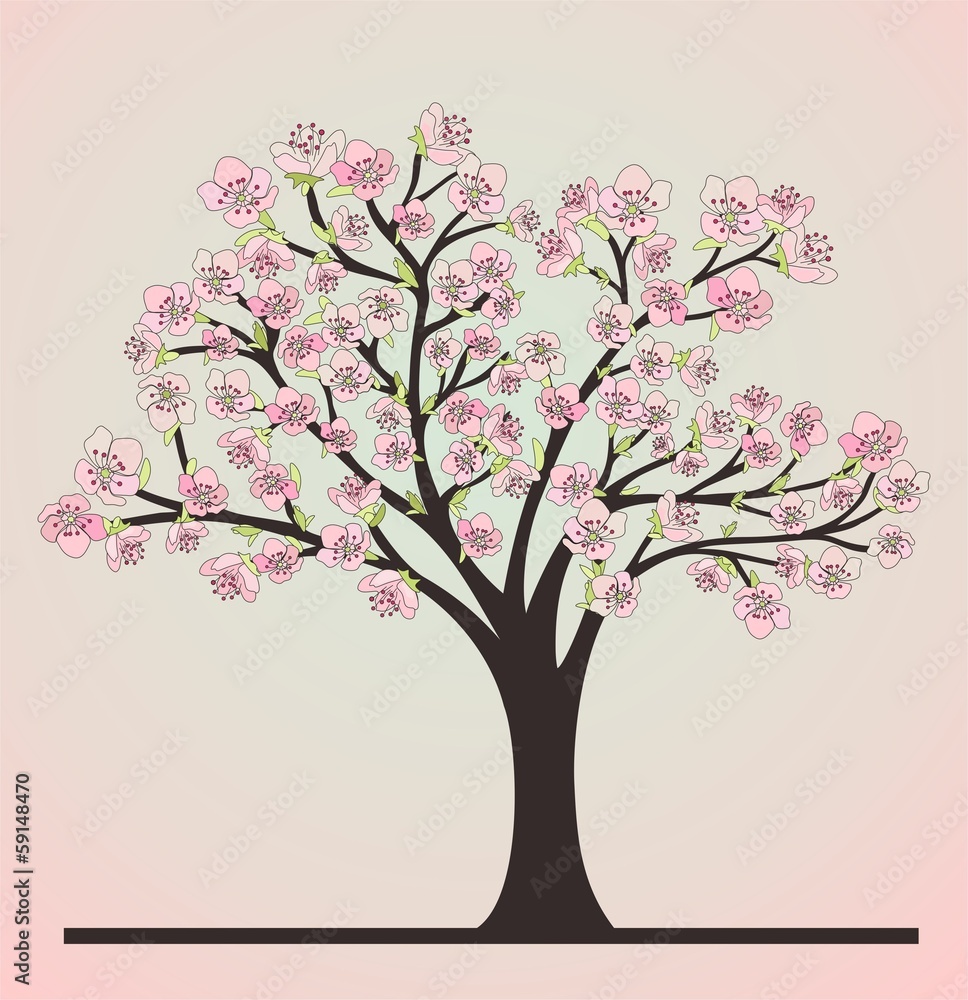 Cherry tree with blosoms