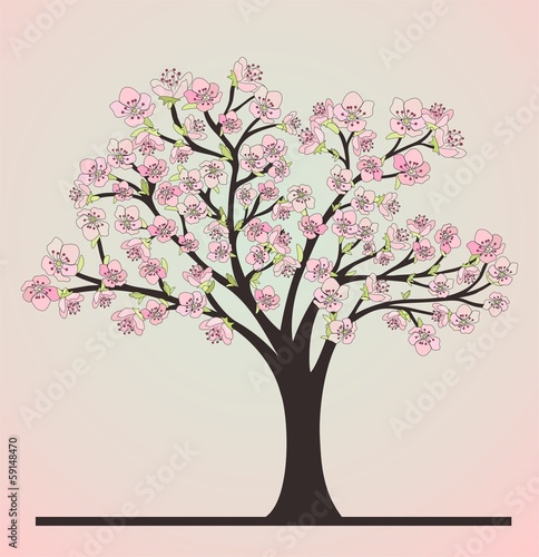 Cherry tree with blosoms © oliska