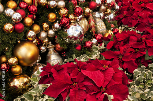 Christmas Tree and POINSETTIA