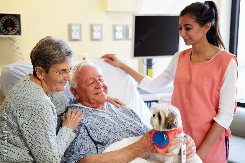 Fototapeta premium Pet Therapy Dog Visiting Senior Male Patient In Hospital