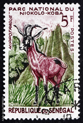 Postage stamp Senegal 1960 Roan Antelope, Savanna Antelope photo